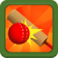 Pro Cricket Champion